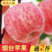 歌益鲜 红富士新鲜苹果一整箱10斤 券后价￥53.8