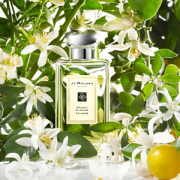 JO MALONE 祖·玛珑 Orange Blossom 橙花 女士古龙淡香水 100ml