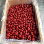 红枣 包邮新疆特级自家大枣 3斤装 5斤装 灰枣