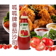 呱呱 番茄沙司 挤压瓶装580g