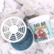 Bad Air Sponge 甲醛污染空气净化剂400g*10罐