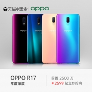 OPPO 欧珀 R17 智能手机 6GB 128GB 2399元