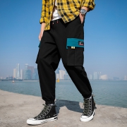 潮牌 夏季工装哈伦裤 多码多款 券后￥99