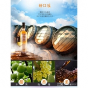 五粮液出品 青梅花香果酒 480ml