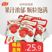 佳宝 鲜润杨梅干 500g（1斤约11小包）