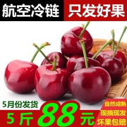 山东美早大樱桃 5斤装 实付78元包邮 折15.6元/斤 预售款