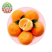 云依禾农庄 青见柑橘 2.5kg *2件