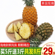 六井 海南金钻新鲜凤梨 8斤