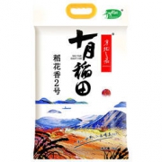 十月稻田 稻花香米2号 东北大米 5kg *2件 99元（双重优惠，合49.5元/件）