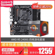 AMD 锐龙 Ryzen 5 2400G APU处理器 + GIGABYTE 技嘉 B450M DS3H 主板 套装