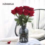 FlowerPlus 花加 香雪兰/洋牡丹 鲜花速递 10枝 24.9元