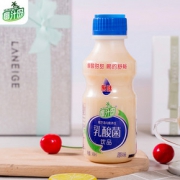 椰汁岛旗舰店 乳酸菌饮品*12瓶