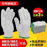 华特 劳保劳保线手套 12双 女士款