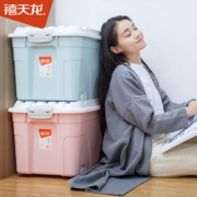 禧天龙 塑料收纳箱 2个