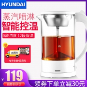 韩国 现代 蒸汽淋喷煮茶器 一键保温 600w 99元包邮