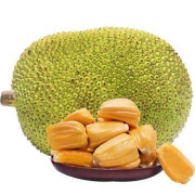 淳果一木 越南进口红肉菠萝蜜 约7-10斤
