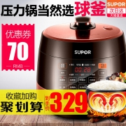 23日10点、历史低价:SUPOR 苏泊尔 SY-50YC8101Q 球釜双胆 电压力锅 5L