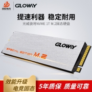 GLOWAY 光威 骁将 VAL 固态硬盘 1T