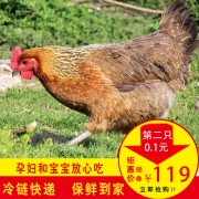 优旋 皖北农家散养老母鸡 2斤/只 拍2件79.1元包邮