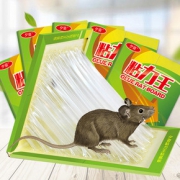 强力粘鼠板捉抓粘老鼠贴笼胶药捕鼠灭鼠器神器克星正品家用一窝端