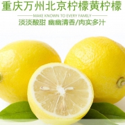 FLAVORDAY 味为天 万州黄柠檬 5斤