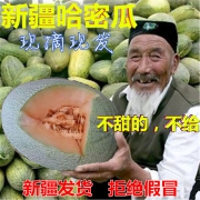 全中国最好吃的哈密瓜：新疆火焰山 西州蜜25号 2个 约7斤