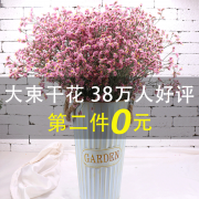 拍两件10.9 勿忘我满天星干花真花 券后￥10.9