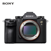 Sony 索尼 A9 评测：眼控对焦 + 20fps 连拍！与 A7R III 实战分享！