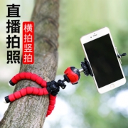 标图 八爪鱼三脚架 送手机夹  券后5.8元