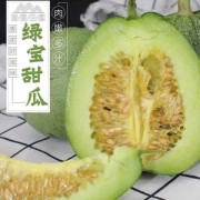 金绚 新鲜绿宝甜瓜5斤装