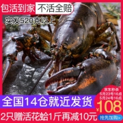 WECOOK 味库 加拿大进口波士顿龙虾 1只 550-500g*2件+ 花蛤 1斤 196元包邮（双重优惠）