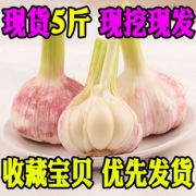 沁园春 山东新鲜大蒜头 5斤12.8元包邮