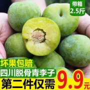佳乐玛 四川脱骨青李子 2.5斤 *2件 19.9元包邮（双重优惠）