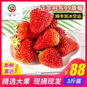 播芮 丹东99 草莓 3斤 78元