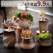 鼎晟 多肉花盆 6.9*9.8cm 6个装 8.5元包邮