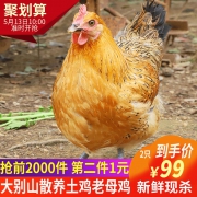 10点开始，然妈 大别山散养老母鸡 1100g*2件