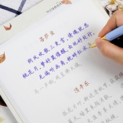 墨点 楷书速成反复使用 练字帖套装  券后6.90元包邮