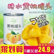 水果佳园 新鲜黄桃罐头 425*5罐  券后19.9元