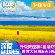 西宁当地参团 西宁-茶卡盐湖+青海湖+敦煌+张掖6天5晚跟团游 1300元起/人