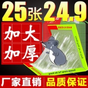旗舰店 泰安康 强力粘鼠板25张装 券后￥21.9
