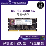Team 十铨 DDR3 1600 8GB 笔记本内存 219元