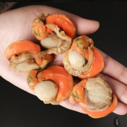 扇贝中的劳斯莱斯！单只3-5CM，百鲜荟 1000g*2件 超大冷冻扇贝肉