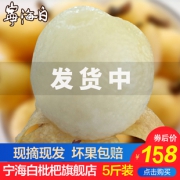 宁海白枇杷 新鲜白沙枇杷 5斤 128元包邮