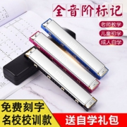 dhs C调口琴 24孔复音版 可刻字 赠送教材书曲谱  券后9.9元