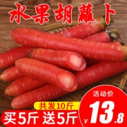 二帅 陕西大荔沙地 水果胡萝卜 10斤 13.8元包邮