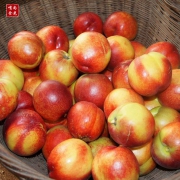 嘴尚食光 山东蒙阴黄心油桃3斤 现货