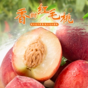 鲜纷 新鲜红毛桃 5斤 *3件 19.8元（需用券，合6.6元/件）