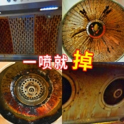 圣洁康 厨房油污清洁剂 500ml 6.9元包邮