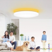 Yeelight 皎月LED客厅吸顶灯 调光调色 带氛围灯 小米生态链 699元包邮
