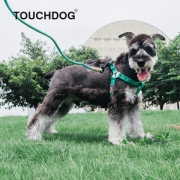 Touchdog 宠物脖圈牵引绳 S号 10款可选9元包邮（需用券）